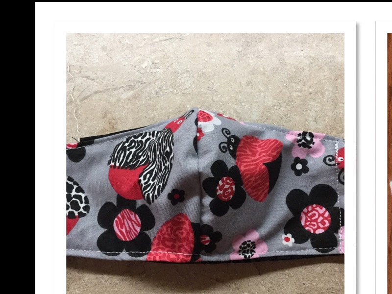 Lady Bug face mask Lady Bug face mask
